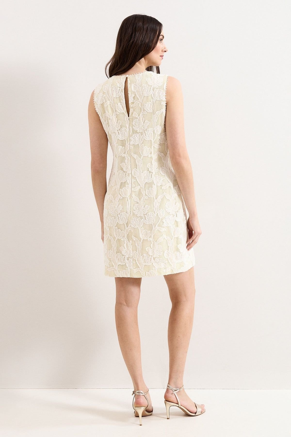 Phase Eight Phase Eight Women's Bryony Sleeveless Lace Mini Dress in Warm White - 4