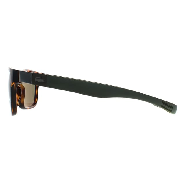 Lacoste Lacoste Men's Rectangle Havana Green L737S in Brown - 3