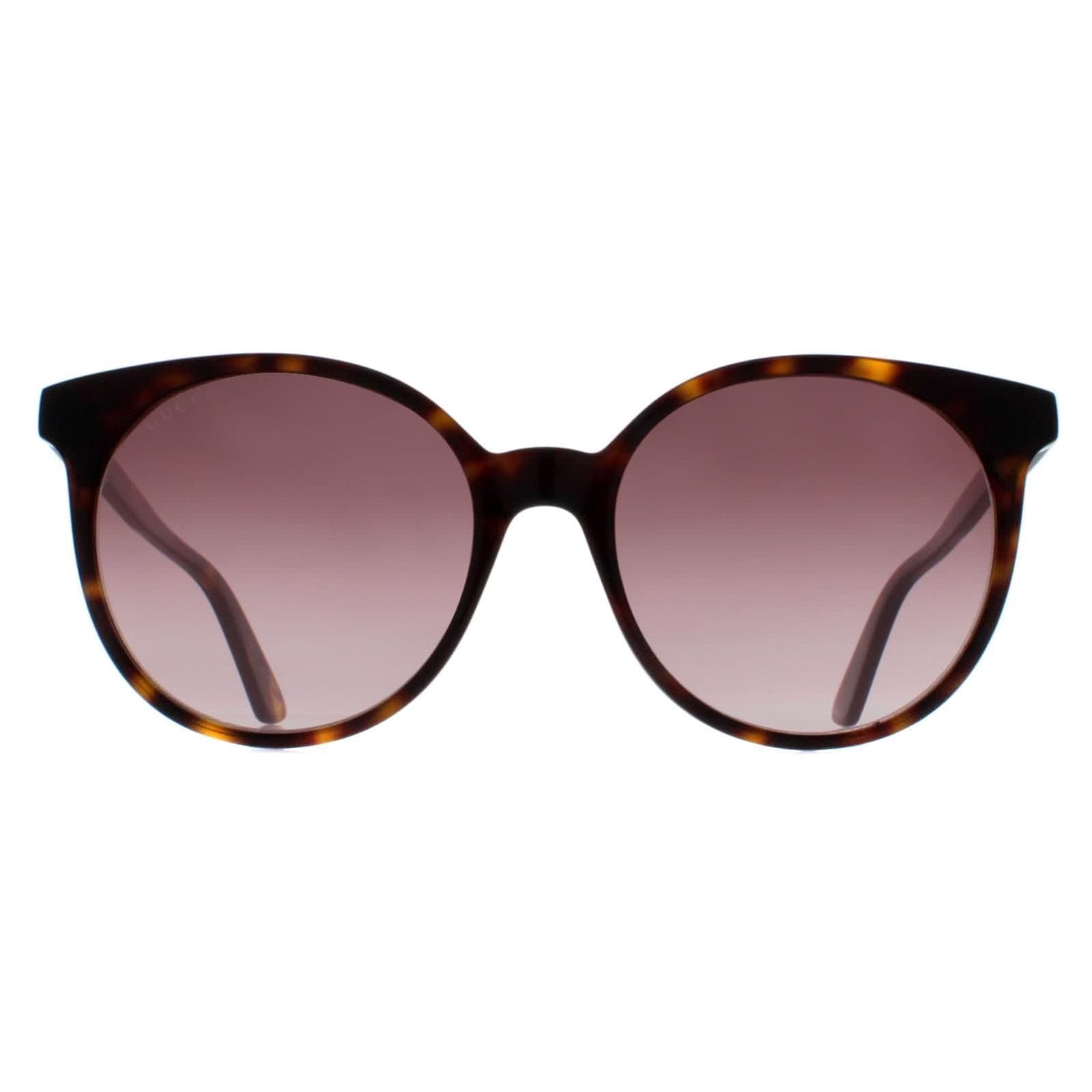 Gucci Gucci Women's Round Dark Havana Brown Gradient GG0488S