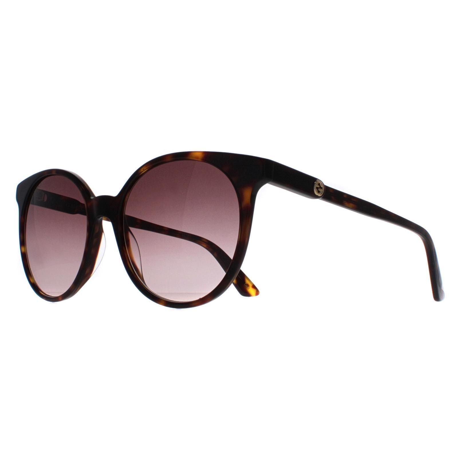 Gucci Gucci Women's Round Dark Havana Brown Gradient GG0488S - 2