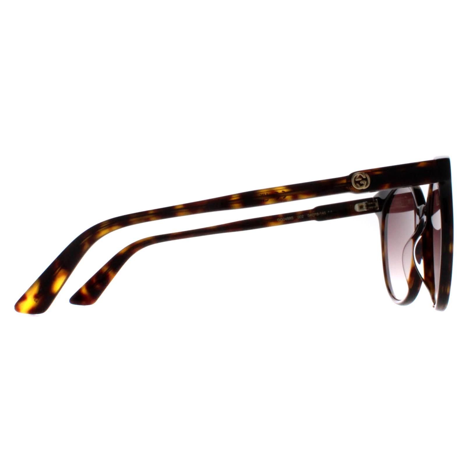 Gucci Gucci Women's Round Dark Havana Brown Gradient GG0488S - 4