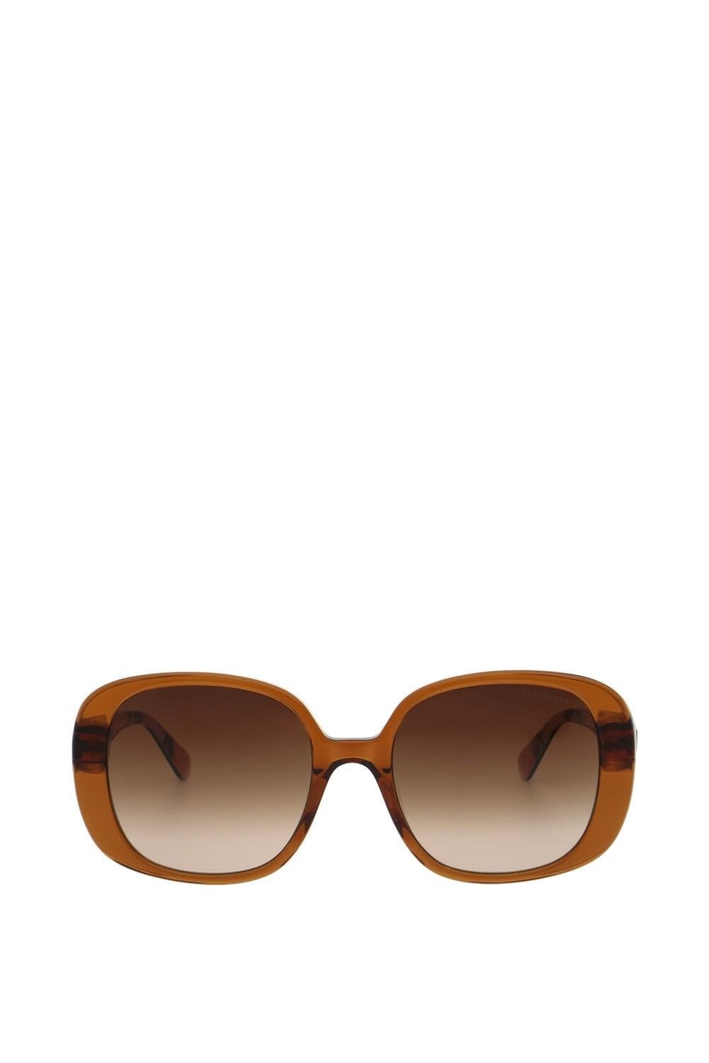 Ted Baker Ted Baker Women's Emilia Sunglasses in Light Brown - 1
