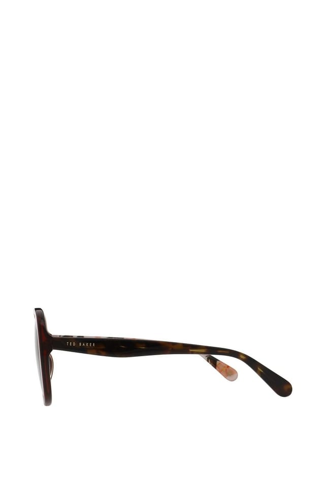 Ted Baker Ted Baker Women's Emilia Sunglasses in Light Brown - 3