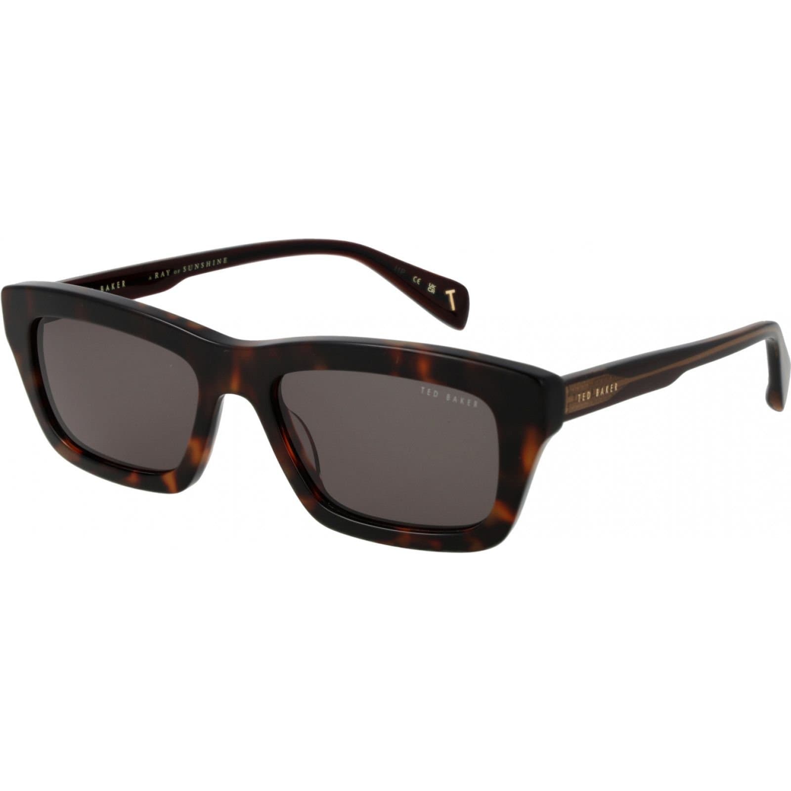 Ted Baker Ted Baker Men's TB1764 54140 Square/Rectangle Sunglasses in Brown