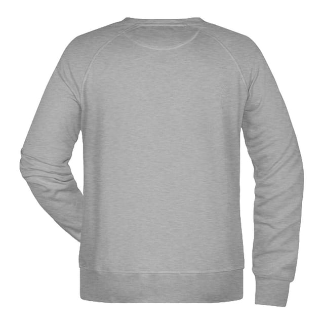 James and Nicholson James and Nicholson Men's Plain Sweatshirt in Grey - 2