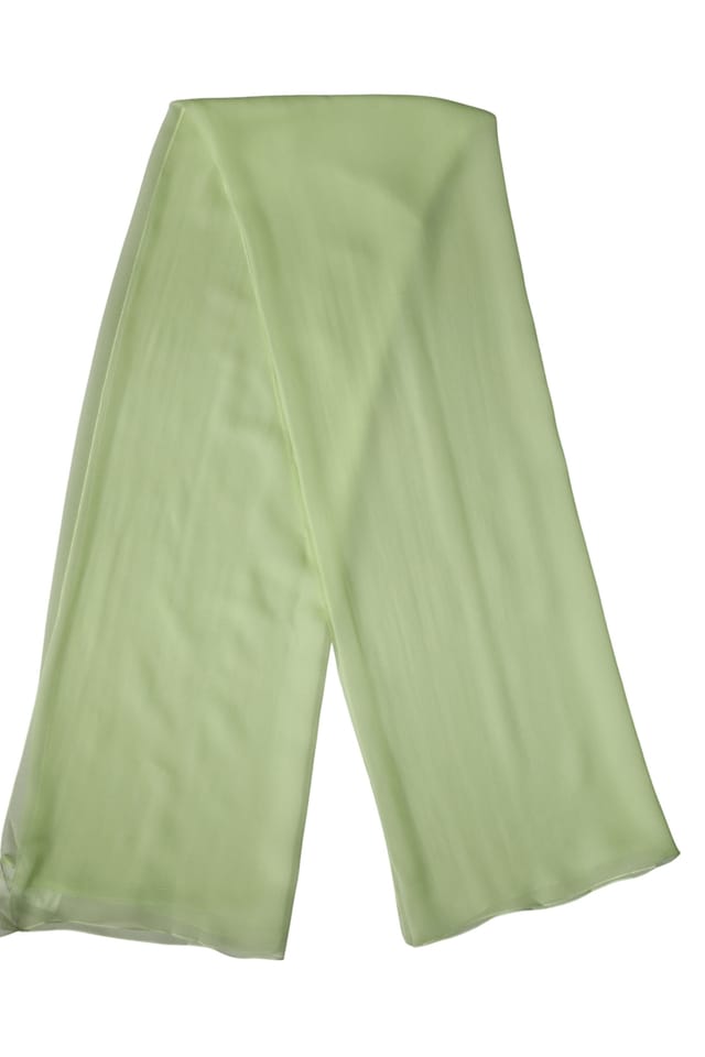 Dolce & Gabbana Dolce & Gabbana Women's Silk Neck Wrap Stole Scarf in Light Green - 2