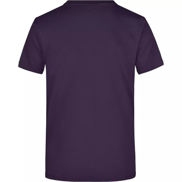James and Nicholson James and Nicholson Men's Heavyweight Crew Neck T-Shirt in Aubergine - 2
