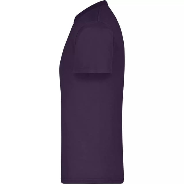 James and Nicholson James and Nicholson Men's Heavyweight Crew Neck T-Shirt in Aubergine - 3