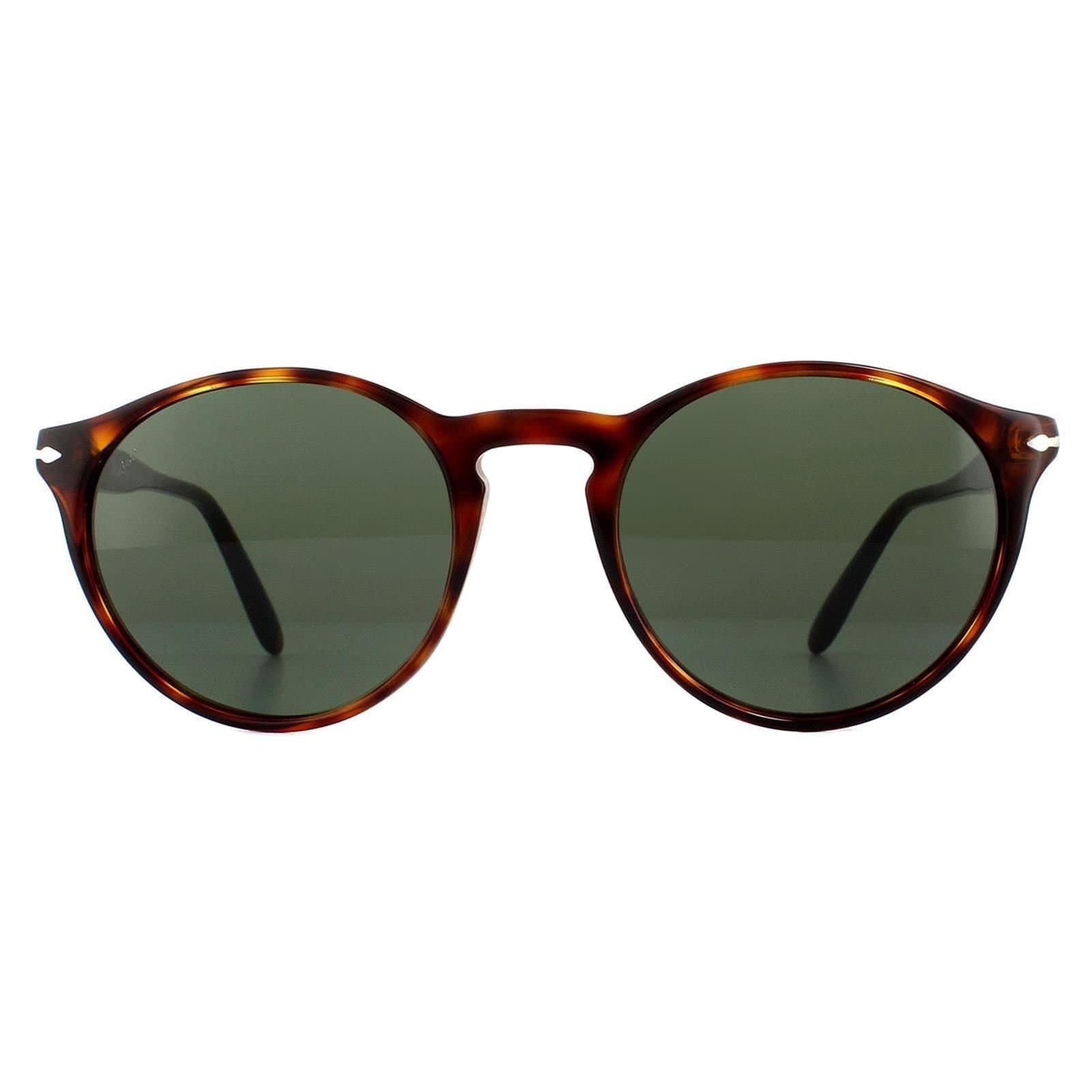 Persol Persol Men's Round Havana Green Sunglasses in Brown