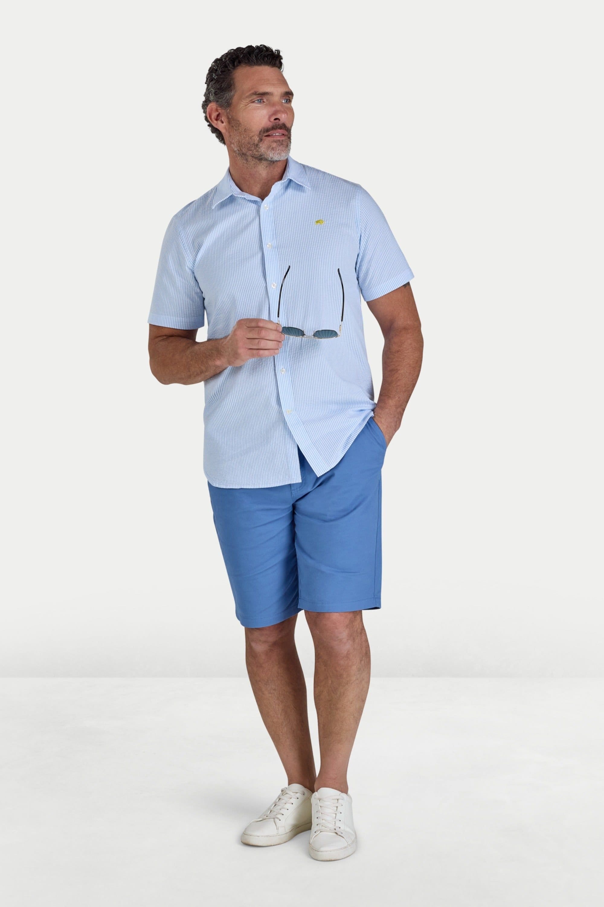 raging bull Raging Bull Men's Short Sleeve Bournmouth Stripe Linen Shirt in Light Blue - 4