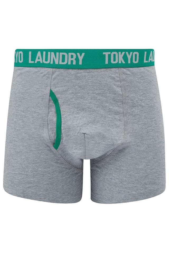 Tokyo Laundry Tokyo Laundry Men's 6-Pack Cotton Boxers in Light Grey - 3