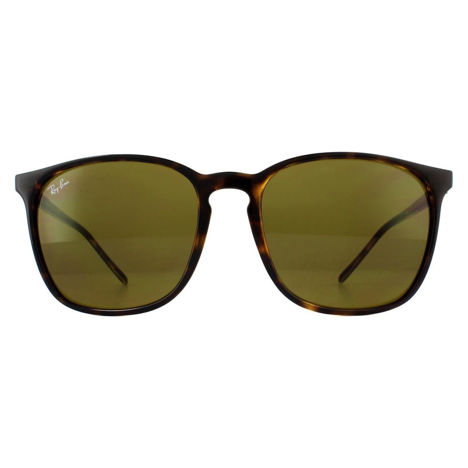 Ray-Ban Ray-Ban Men's Square Tortoiseshell Brown RB4387 Sunglasses