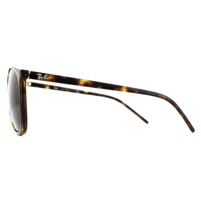 Ray-Ban Ray-Ban Men's Square Tortoiseshell Brown RB4387 Sunglasses - 3