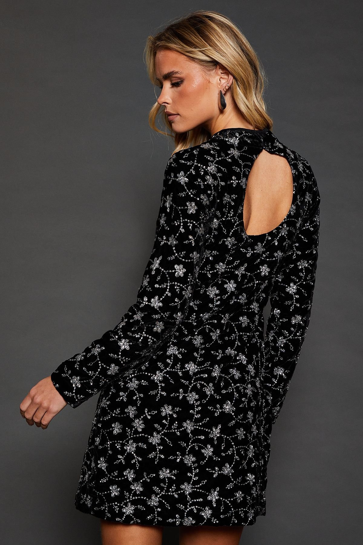 Dorothy Perkins Dorothy Perkins Women's Dp Luxe Petite Black Embroidered Velvet Mini Dress - 3