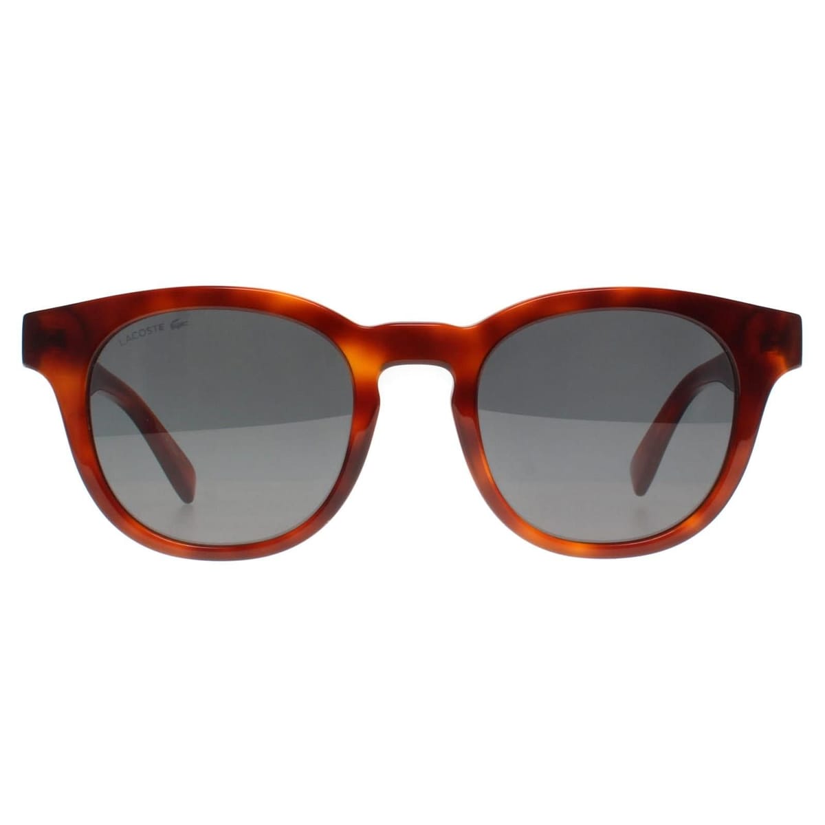 Lacoste Lacoste Men's Round Blonde Havana Smoke Grey L6006S in Brown - 1