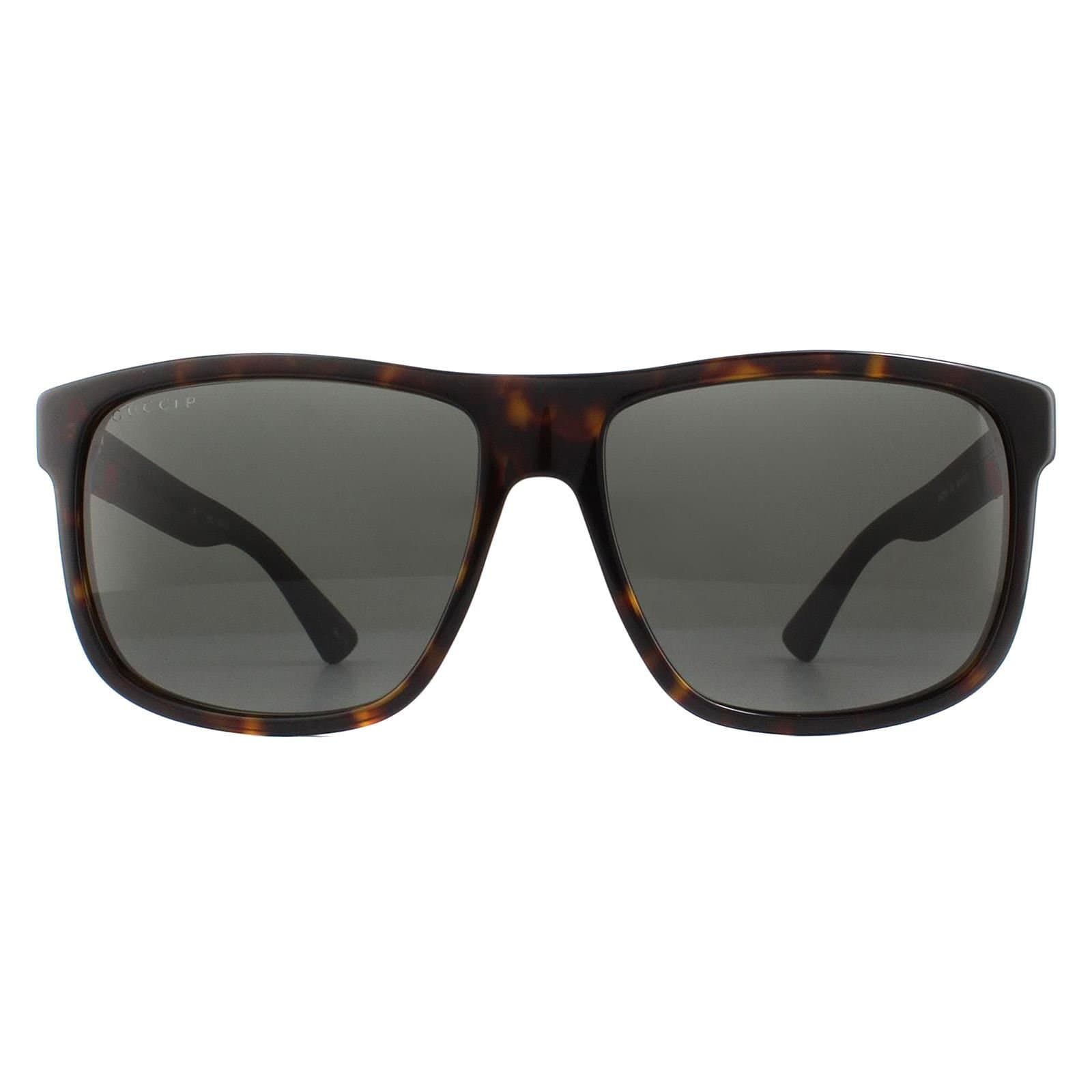 Gucci Gucci Men's Rectangle Havana & Grey Grey Polarized Sunglasses in Brown