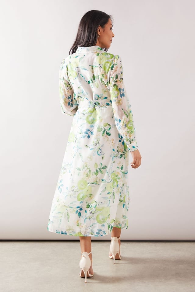 Wallis Wallis Women's Petite Fruit Print Organza Belted Shirt Dress in Green - 3