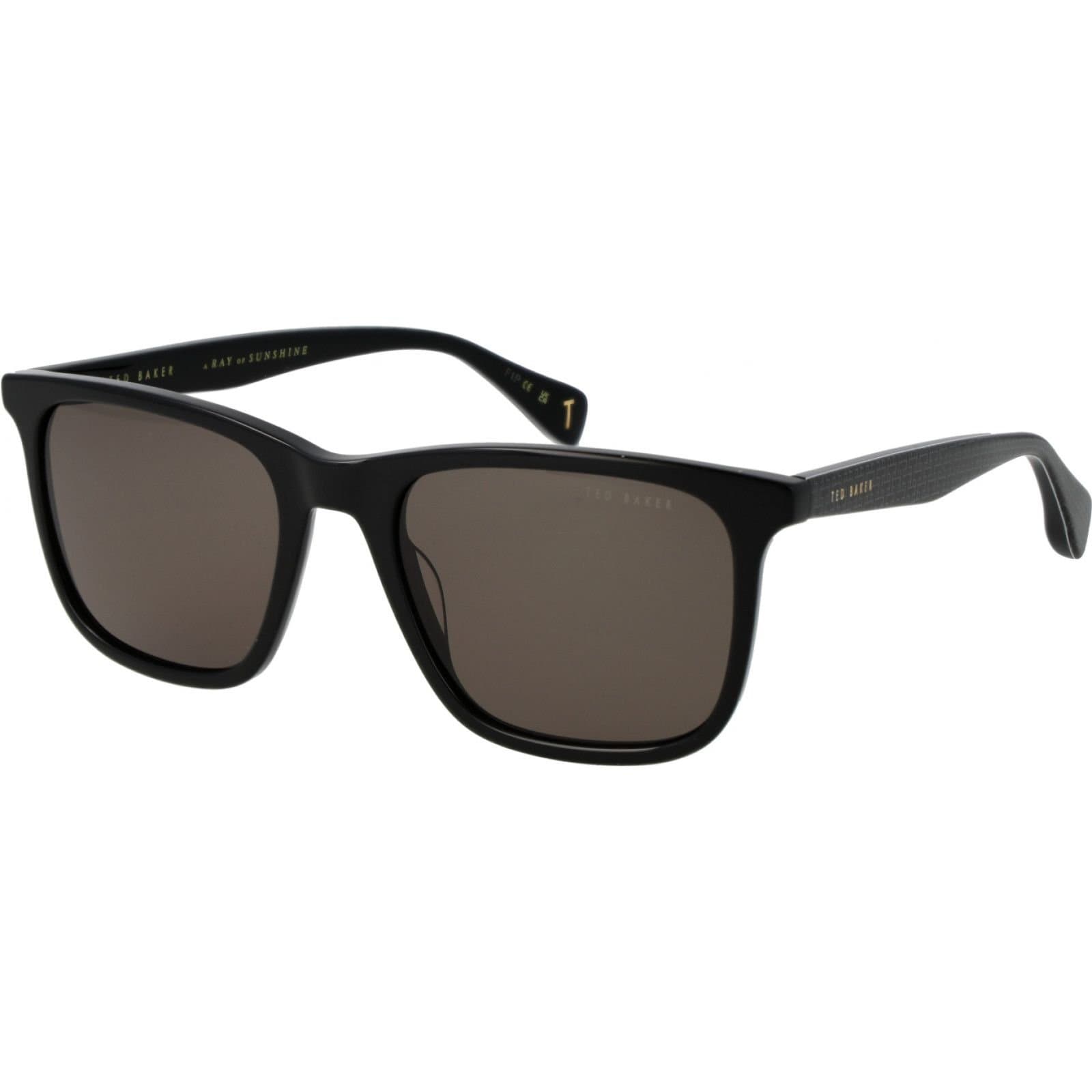 Ted Baker Ted Baker Men's TB1724 53001 Square/Rectangle Sunglasses in Black