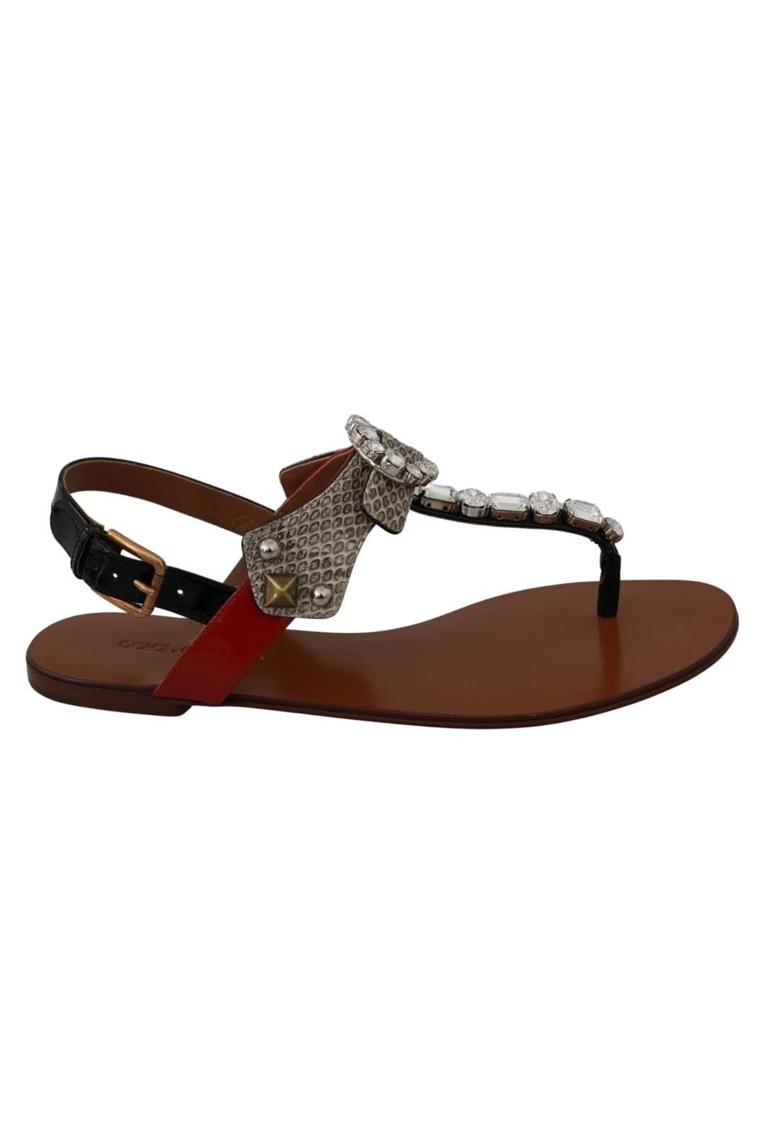 Dolce & Gabbana Dolce & Gabbana Women's Leather Ayers Crystal Sandals Flip Flops Shoes in Brown