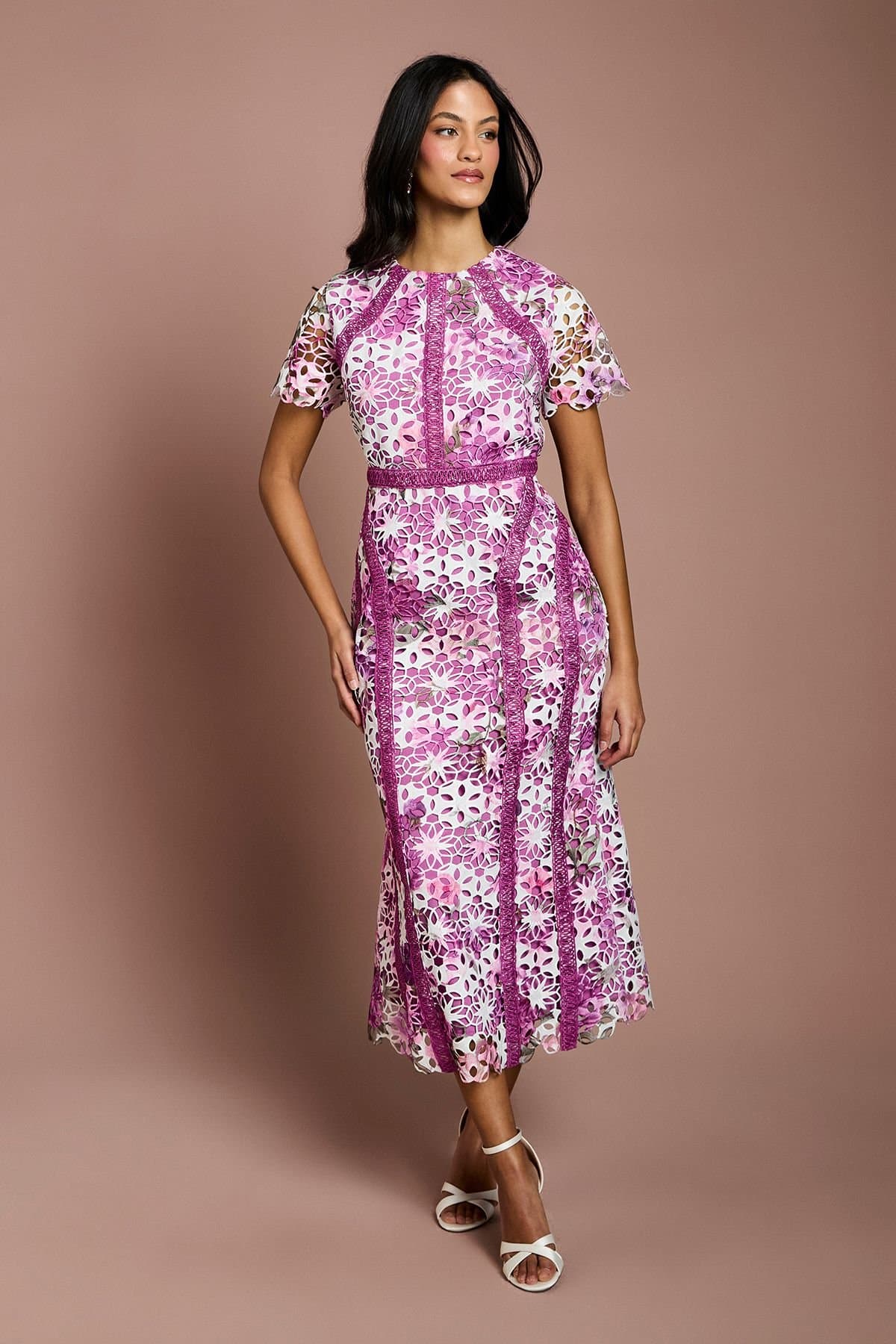 Coast Coast Women's Petite Printed Lace Midi Pencil Dress in Ivory