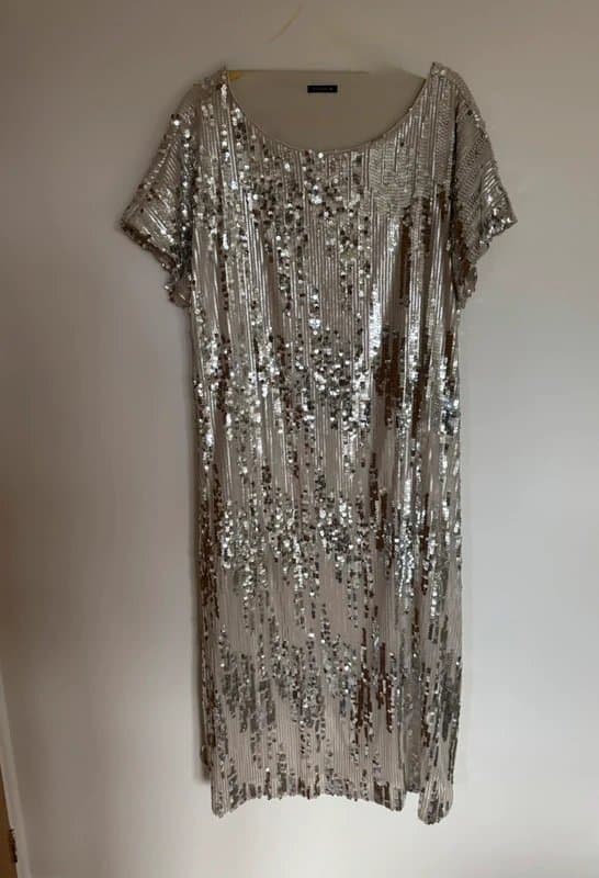 Roman Silver / cram embellished dress