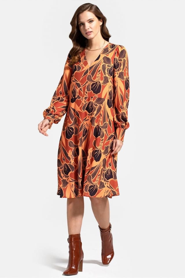 Hot Squash Hot Squash Women's Chiffon Loose Dress with V Neck in Brown - 2