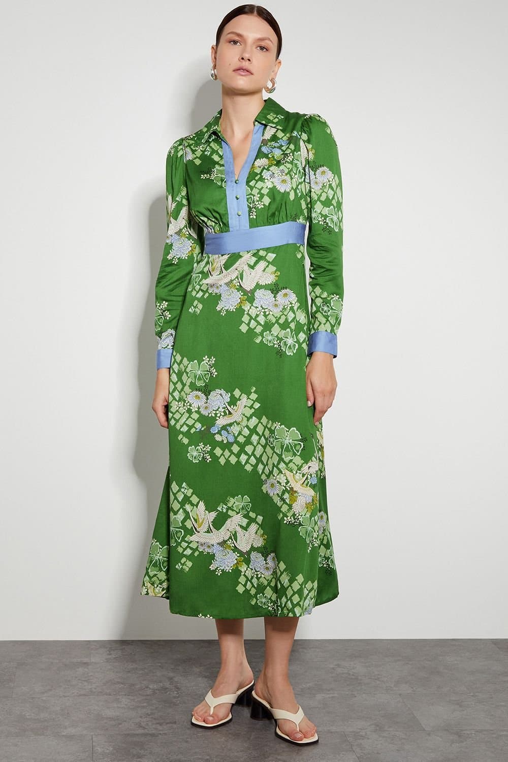 Monsoon Monsoon Women's Jennifer Long Sleeve Floral Print Midi Dress in Green