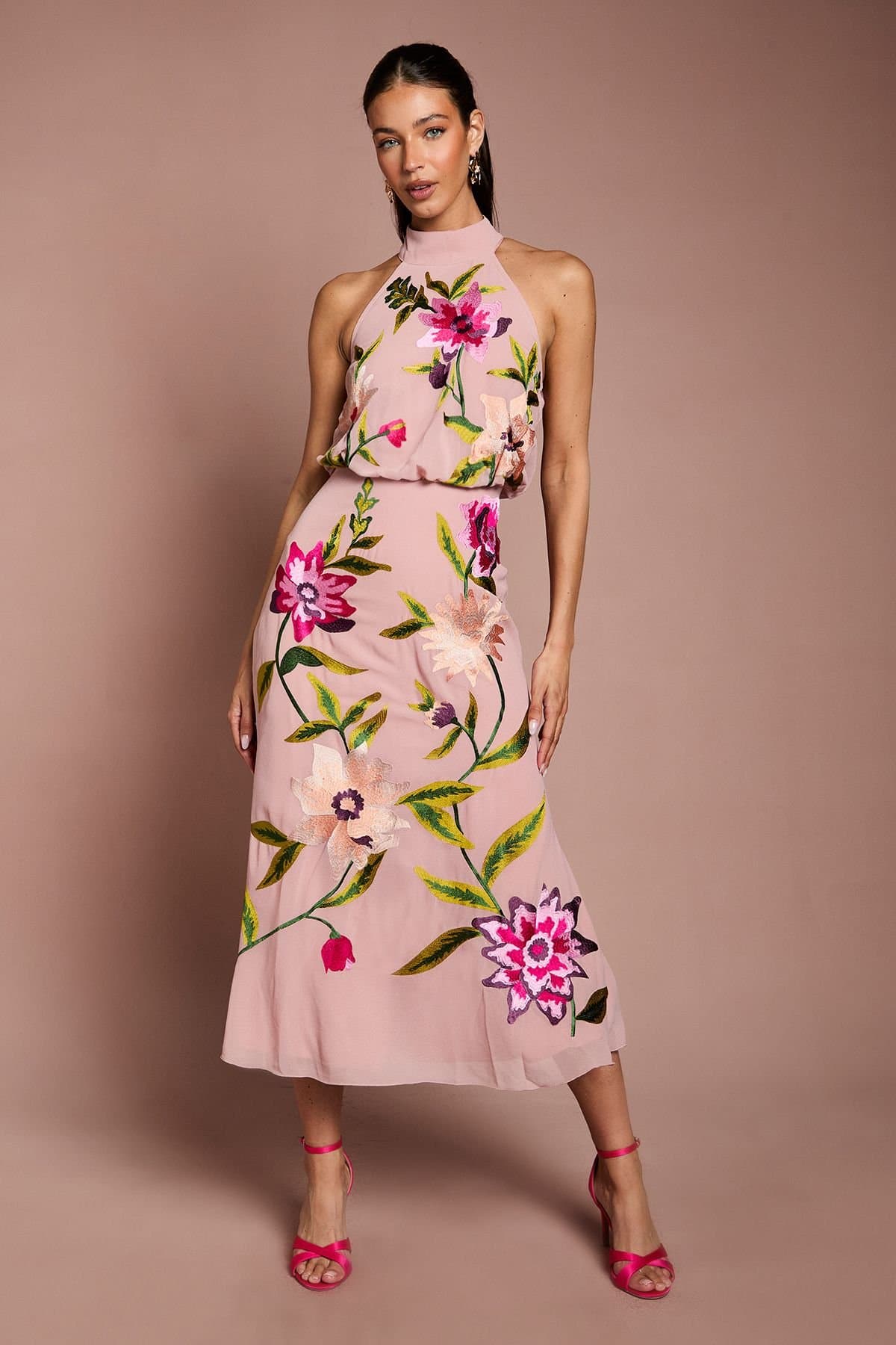 Coast Coast Women's High Neck Midi Dress With Floral Embroidery in Blush
