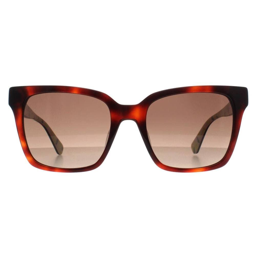 Kate Spade Kate Spade Women's Square Havana Brown Gradient Harlow/G/S