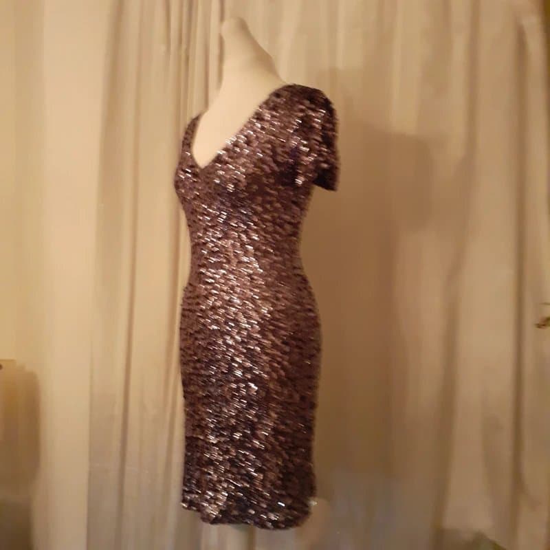 Quiz Silver Sequined Dress