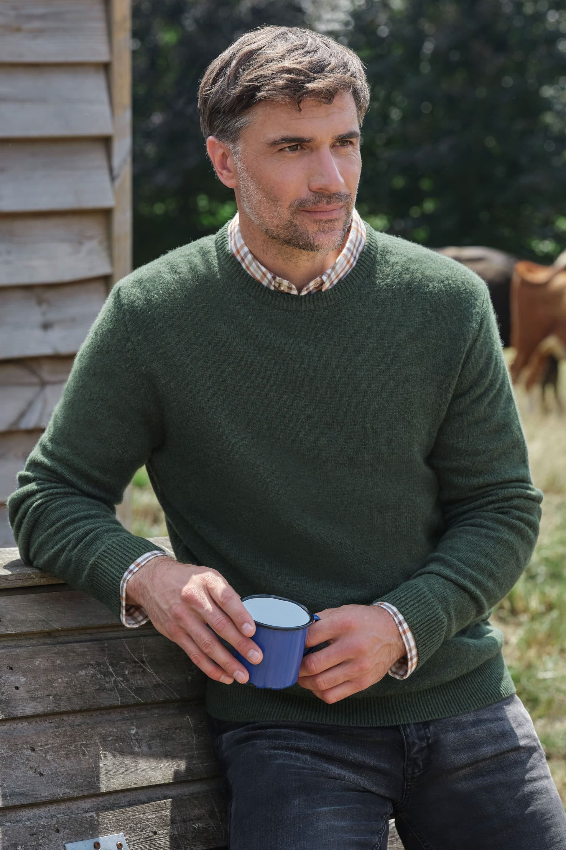 WoolOvers WoolOvers Men's Lambswool Classic Crew Jumper in Dark Olive