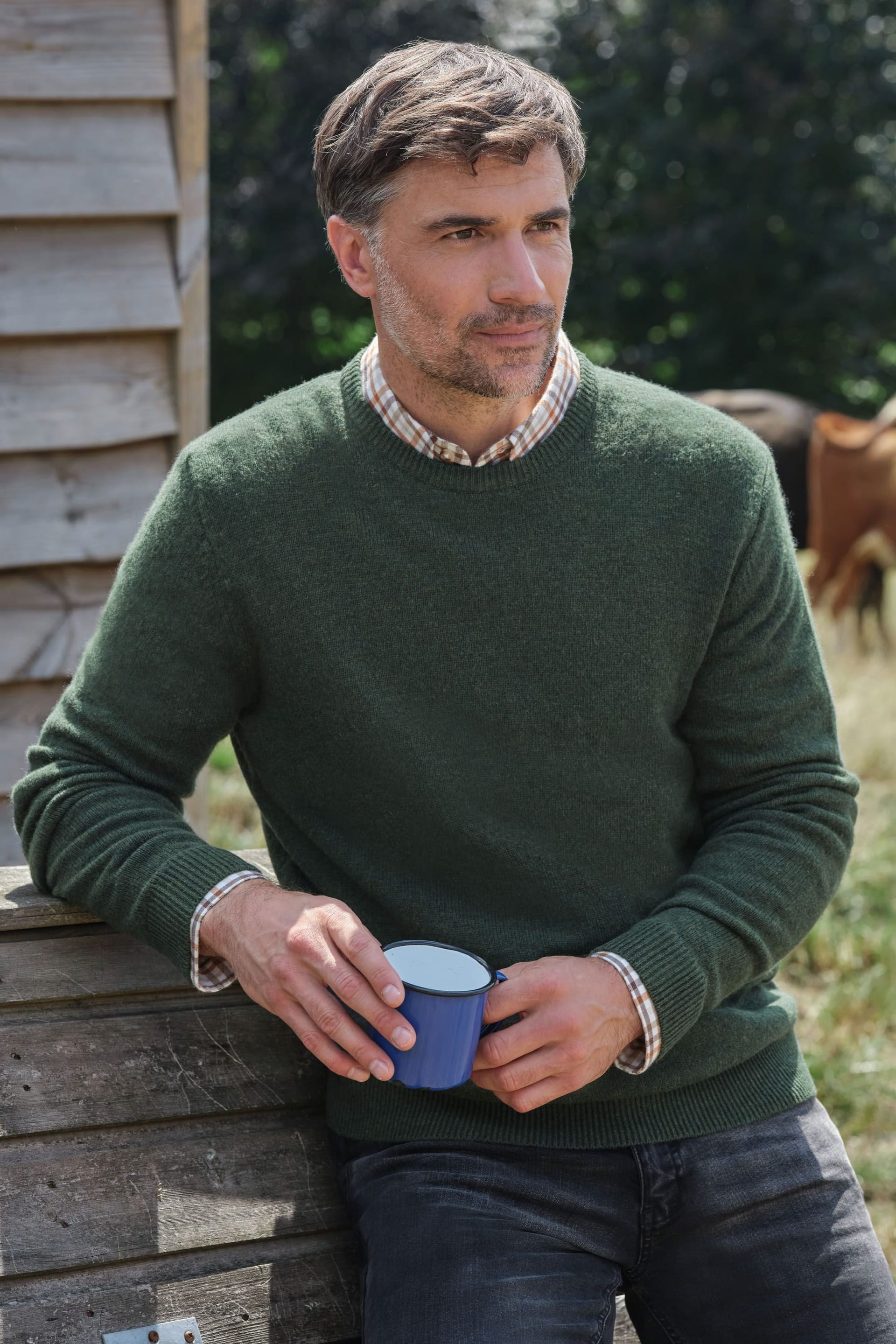 WoolOvers Men's Lambswool Classic Crew Jumper in Dark Olive