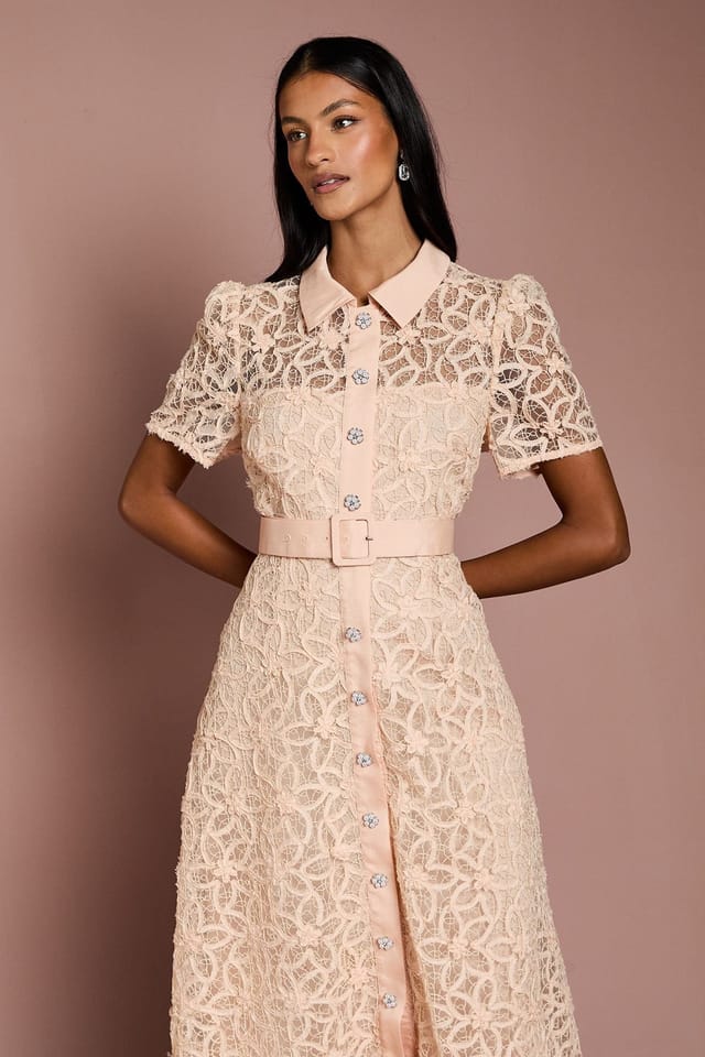 Coast Coast Women's Petite Floral Lace Collared Midi Dress in Nude - 2