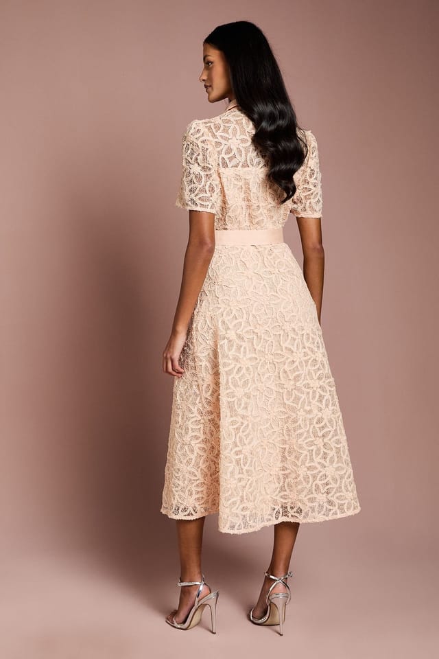 Coast Coast Women's Petite Floral Lace Collared Midi Dress in Nude - 3