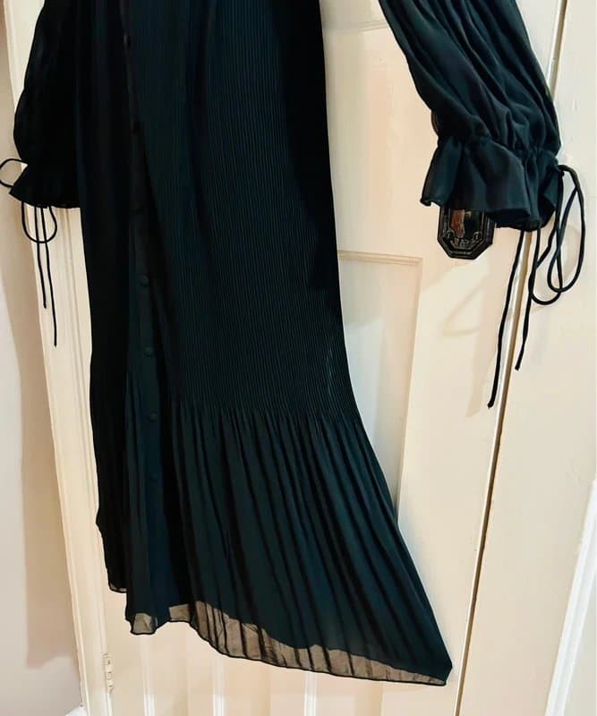 ASOS Crinkle pleated chiffon maxi dress special occasion Bohemian Holiday gothic steampunk 12
