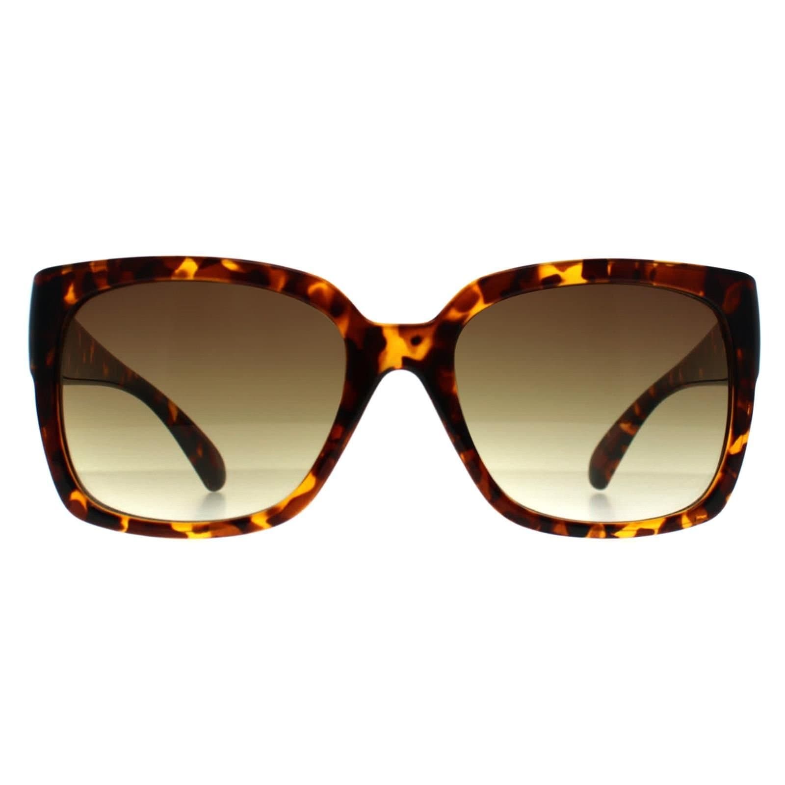 Calvin Klein CALVIN KLEIN Women's Square Shiny Havana Brown Gradient CK22549S