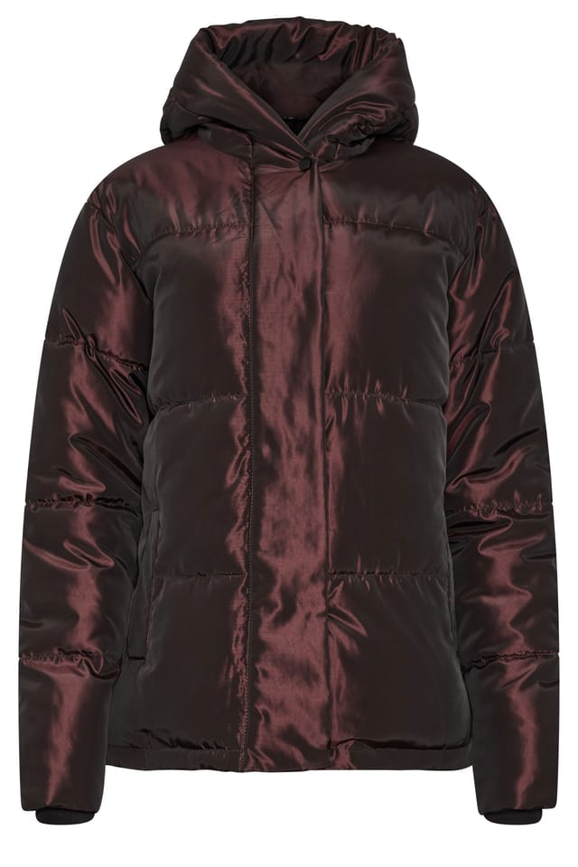 Long Tall Sally Long Tall Sally Women's Tall Padded Coat in Dark Red - 2