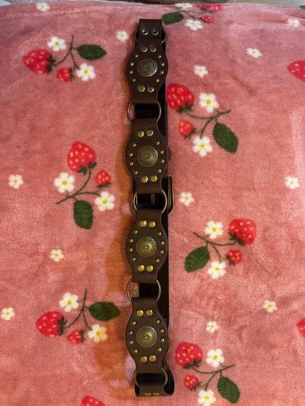 Bershka Brown and golden bronze western-style circle belt