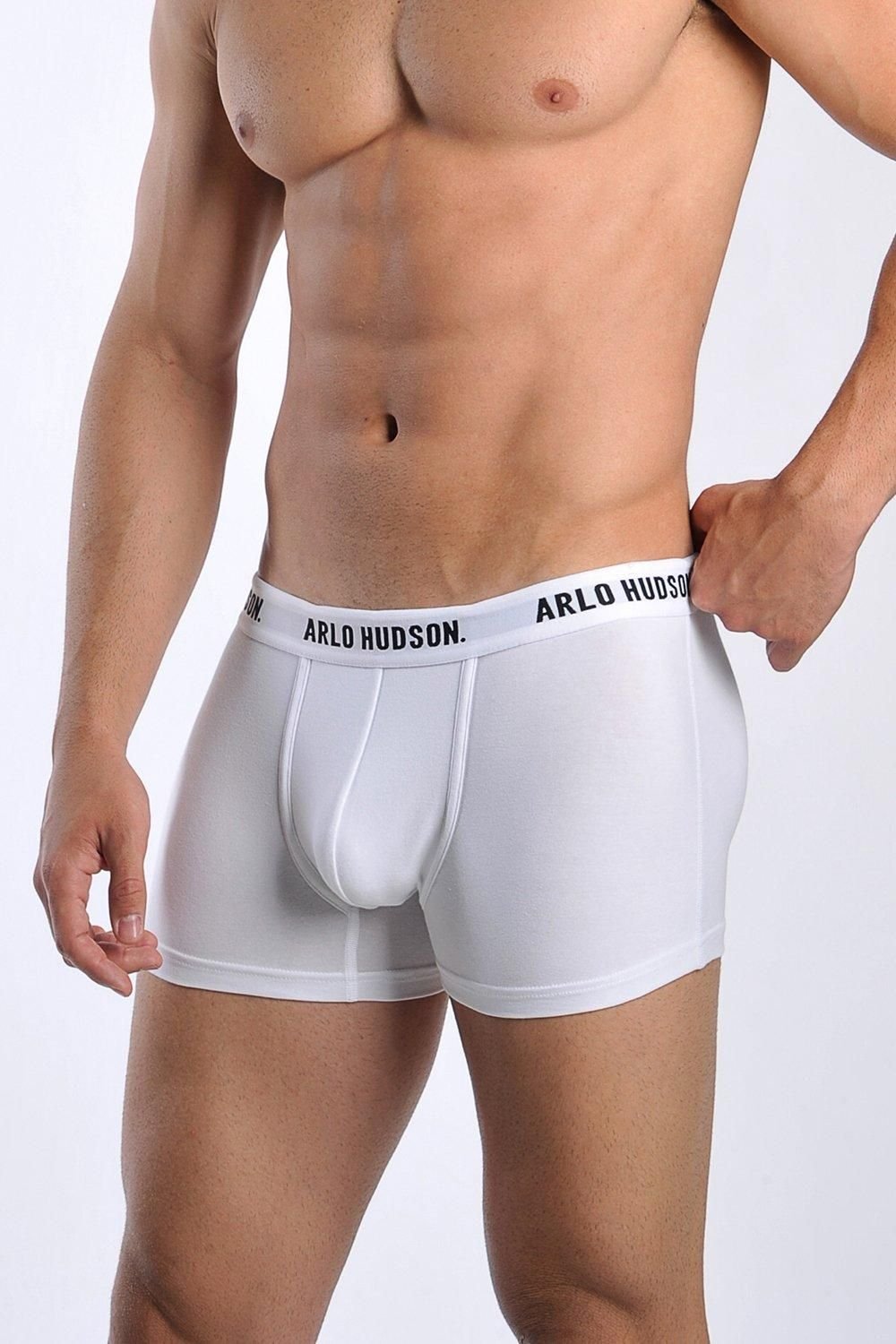 Arlo Hudson Arlo Hudson Men's Plain Cotton Trunk in White - 3