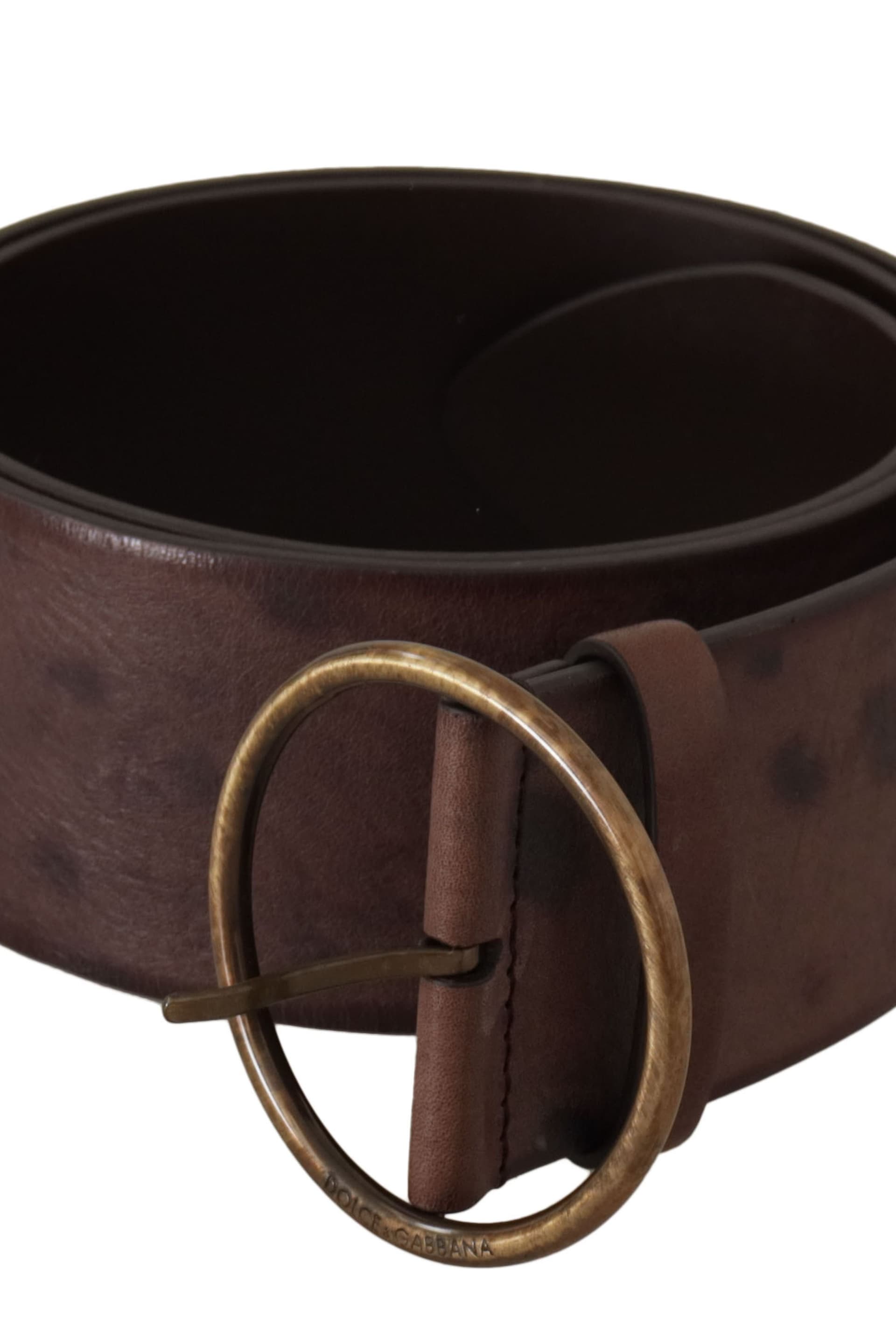 Dolce & Gabbana Dolce & Gabbana Brown Leather Belt with Circular Buckle