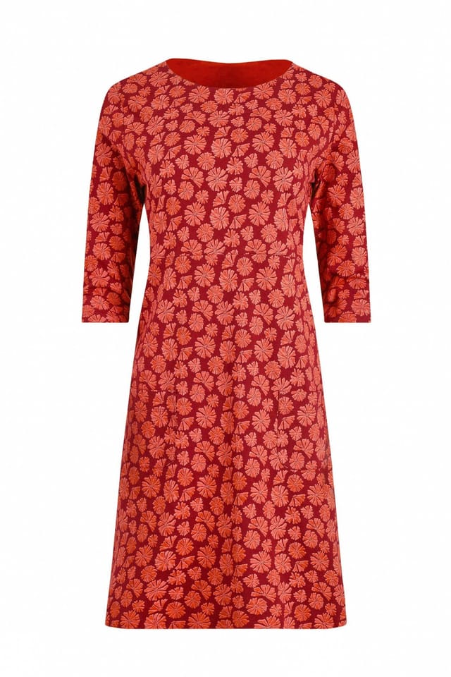 Weird Fish Weird Fish Women's Starshine Printed Jersey Dress in Red - 2
