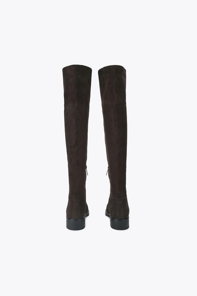 KG Kurt Geiger KG Kurt Geiger Women's 'Tisha2' Suede Boots in Brown - 3