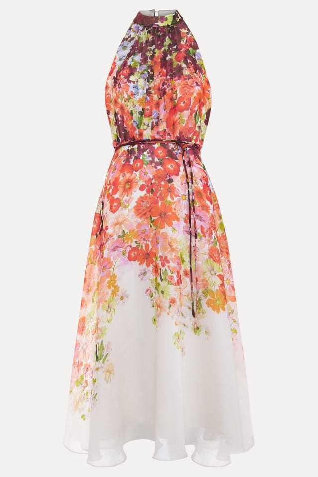 Phase Eight Phase Eight Women's Bethany Floral Print Dress in Bright Pink - 2
