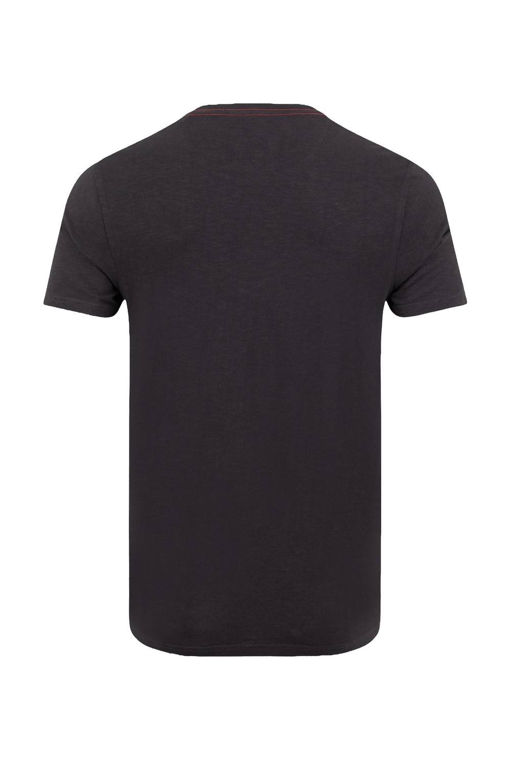 Weird Fish Weird Fish Men's Fish Out Of Water Front Print Graphic T-Shirt in Charcoal - 3