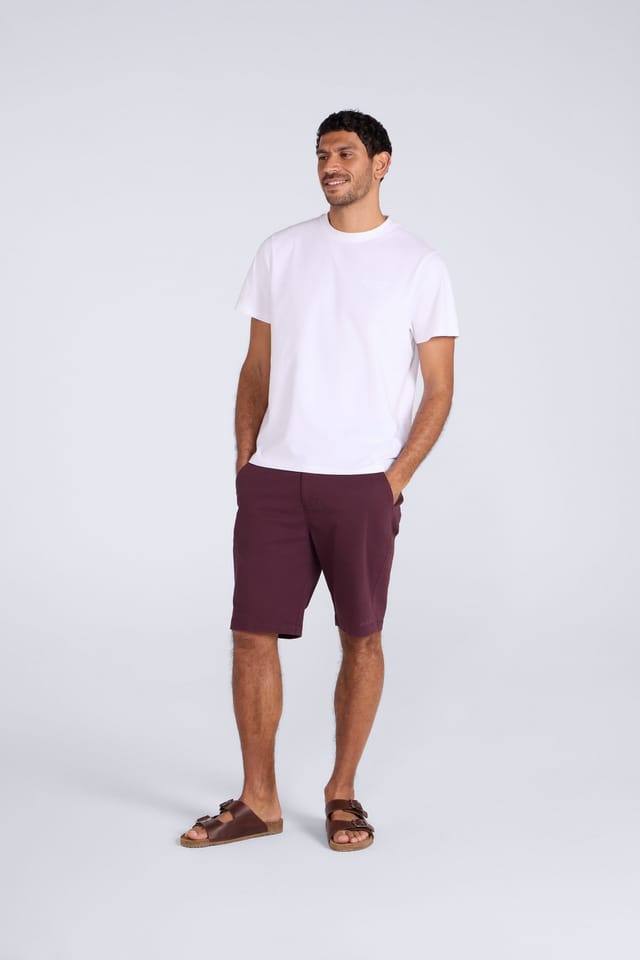 Animal Animal Men's 'Westbay' Lightweight Breathable Stretchy Soft Cotton Chino Shorts in Burgundy - 2