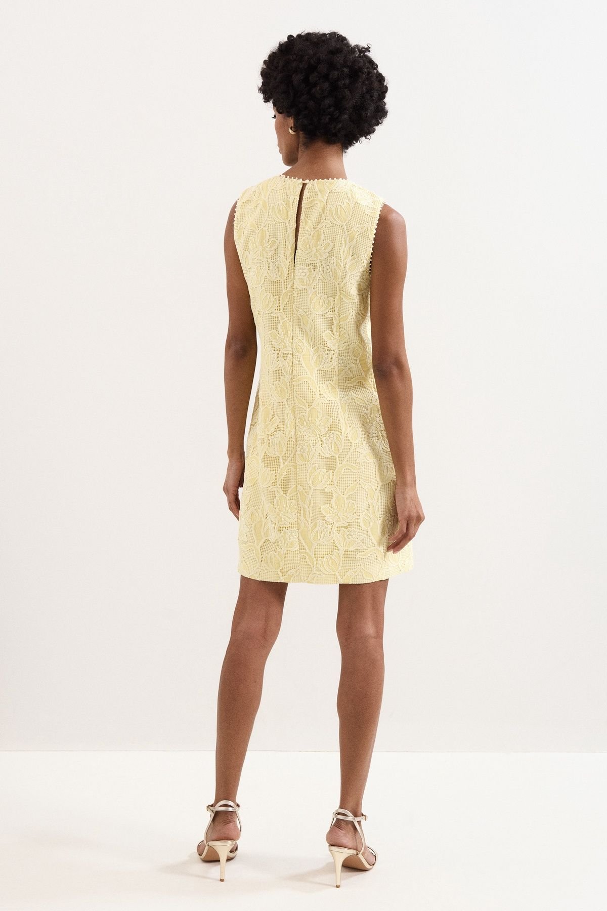Phase Eight Phase Eight Women's Bryony Sleeveless Lace Mini Dress in Lemon - 4