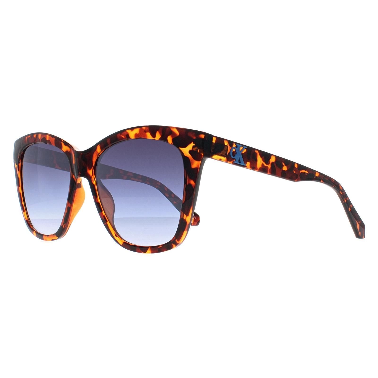 Calvin Klein CALVIN KLEIN Women's Square Havana Blue Gradient CKJ22608S in Brown - 2