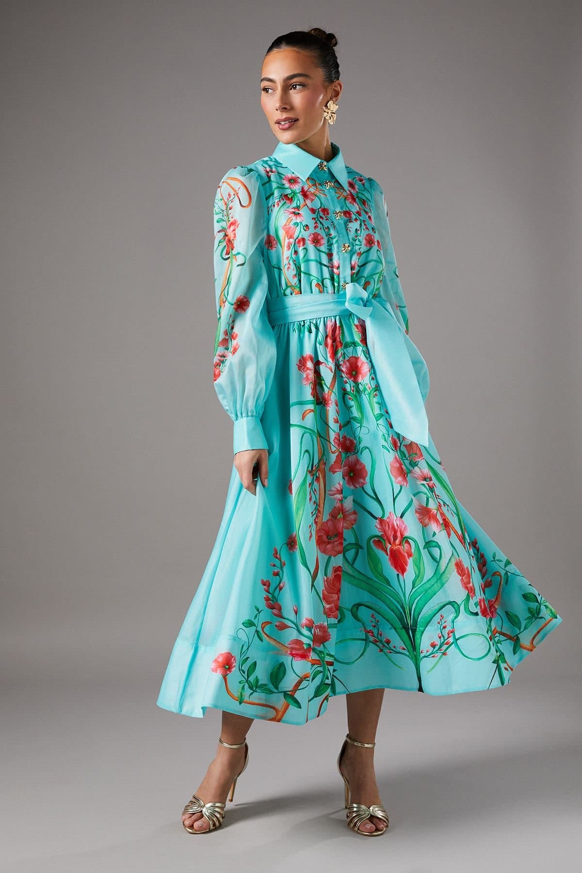 Coast Coast Women's Boarder Print Organza Shirt Dress in Mint