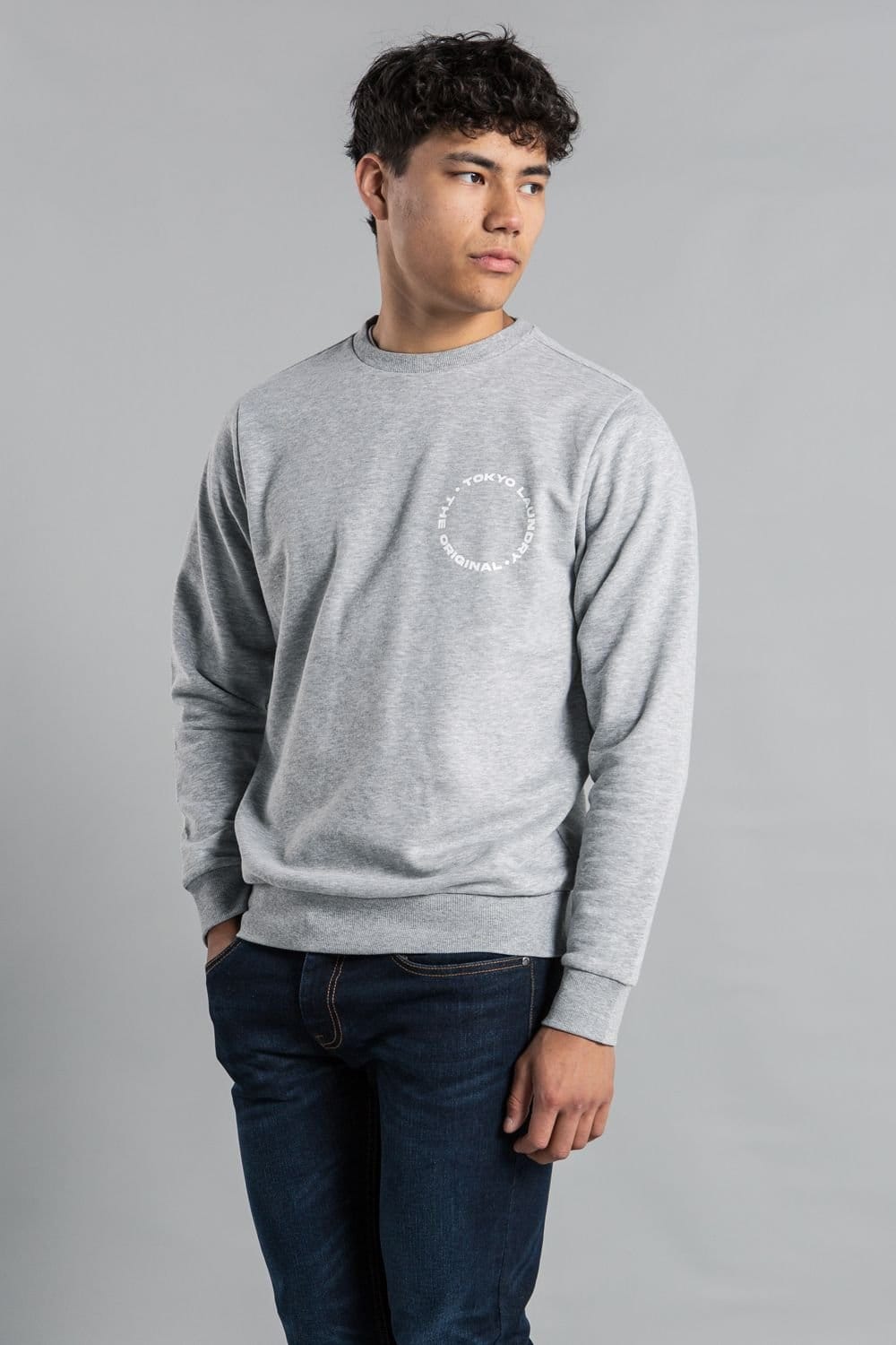 Tokyo Laundry Tokyo Laundry Men's Crew Neck Sweatshirt with Logo Print in Light Grey - 4