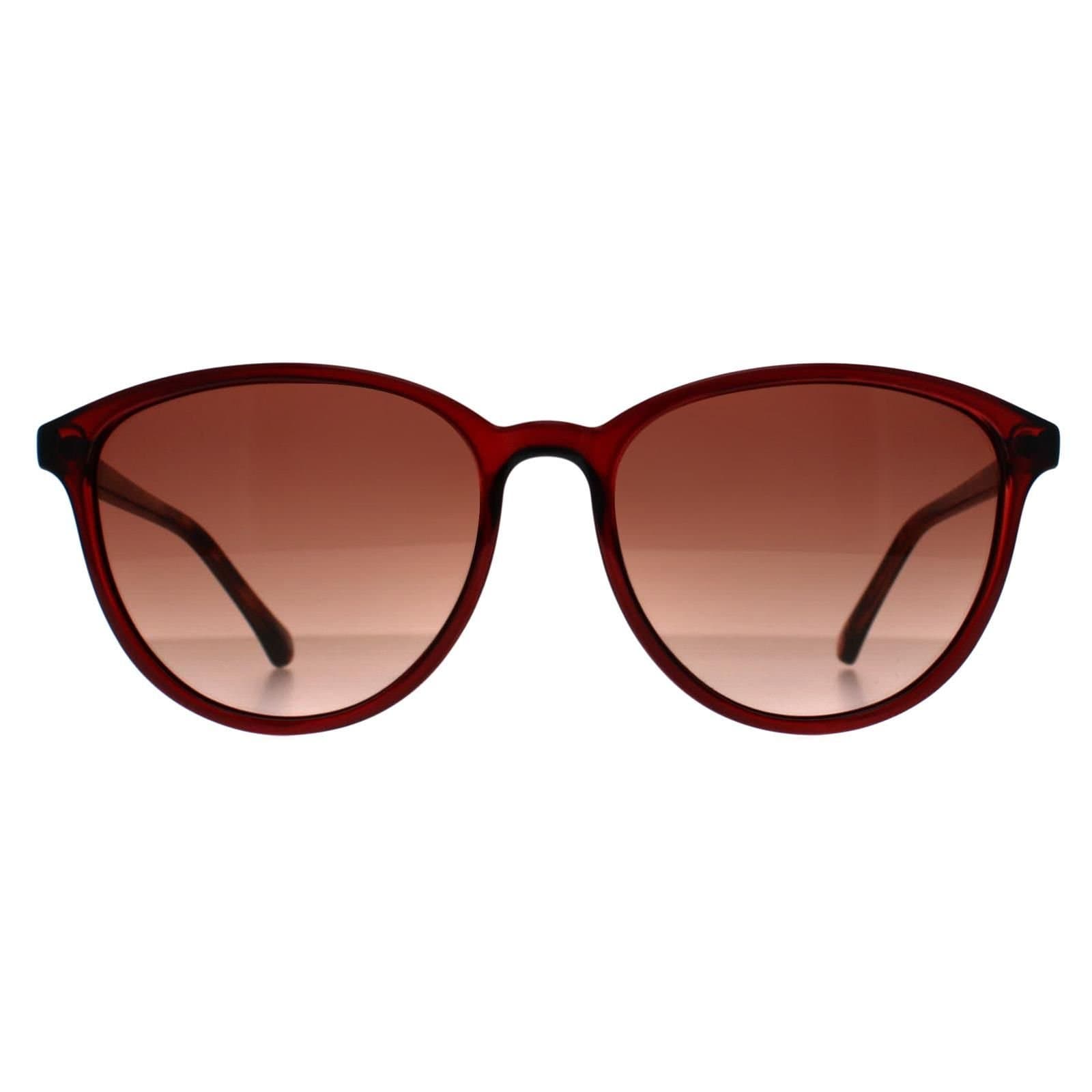 Ted Baker Ted Baker Women's Cat Eye Burgundy Brown Gradient TB1442 Tierney
